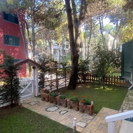 Luxury Beachfront גולם